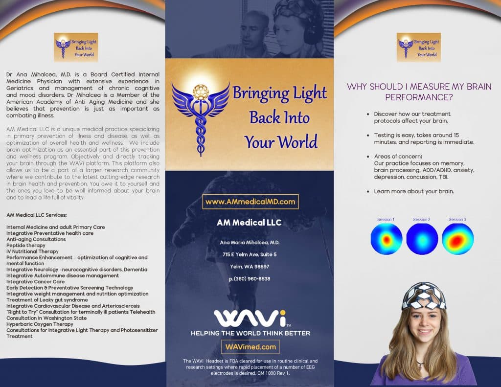 WAVI Brain Mapping Information Page 1