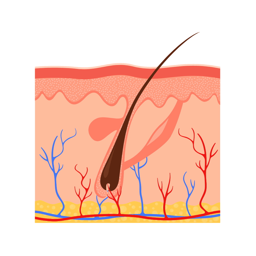 Sudomotor Dysfunction